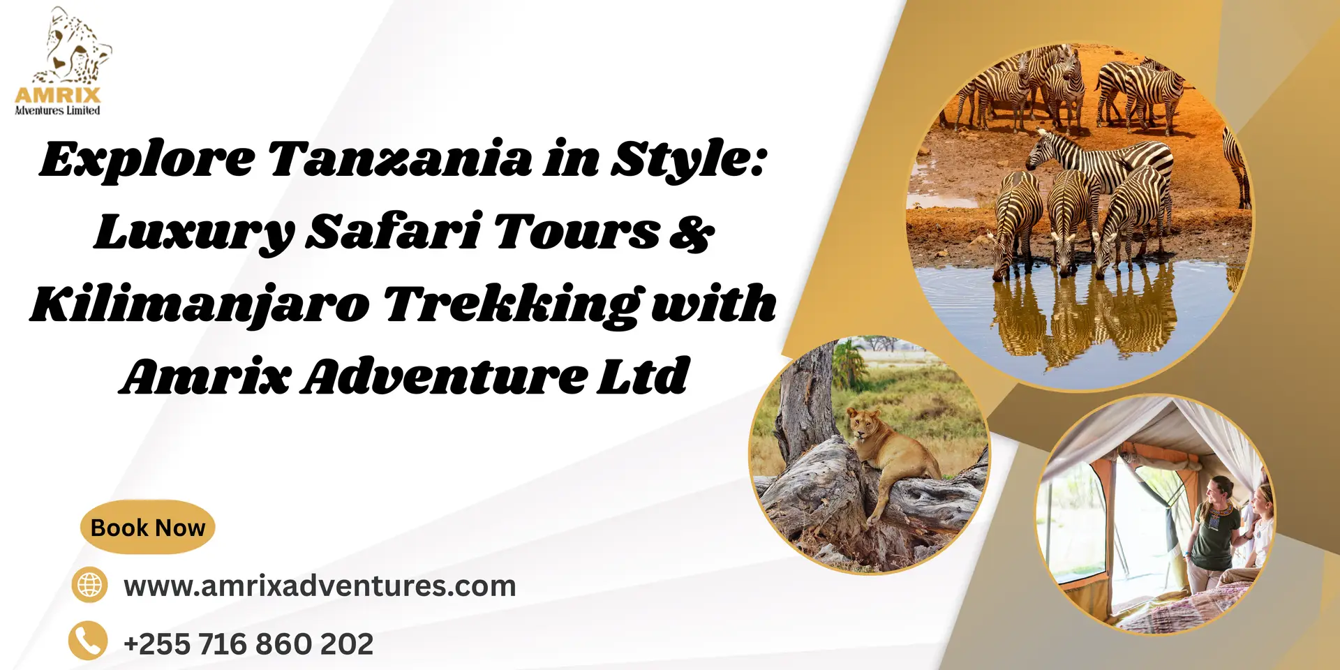 6825df203420928fd4c433eb